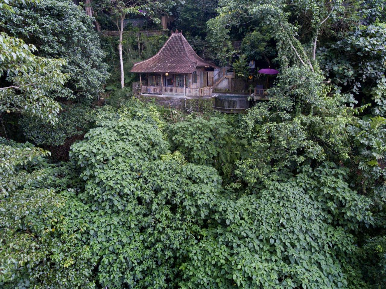 Villa Awang Awang 乌布 外观 照片